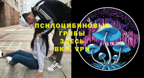 ПСИЛОЦИБИНОВЫЕ ГРИБЫ Алексин