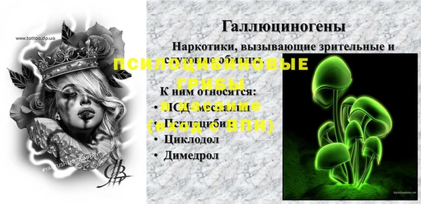 ПСИЛОЦИБИНОВЫЕ ГРИБЫ Алексин