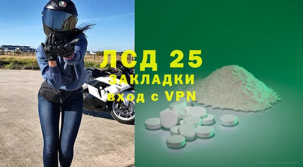 стаф Козловка