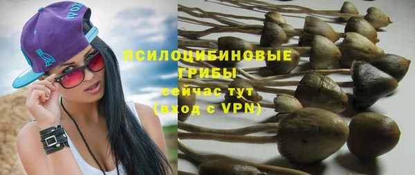 спиды Абаза
